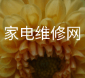 關(guān)于嚴(yán)厲打擊工程質(zhì)量虛假檢測(cè)行為的通知